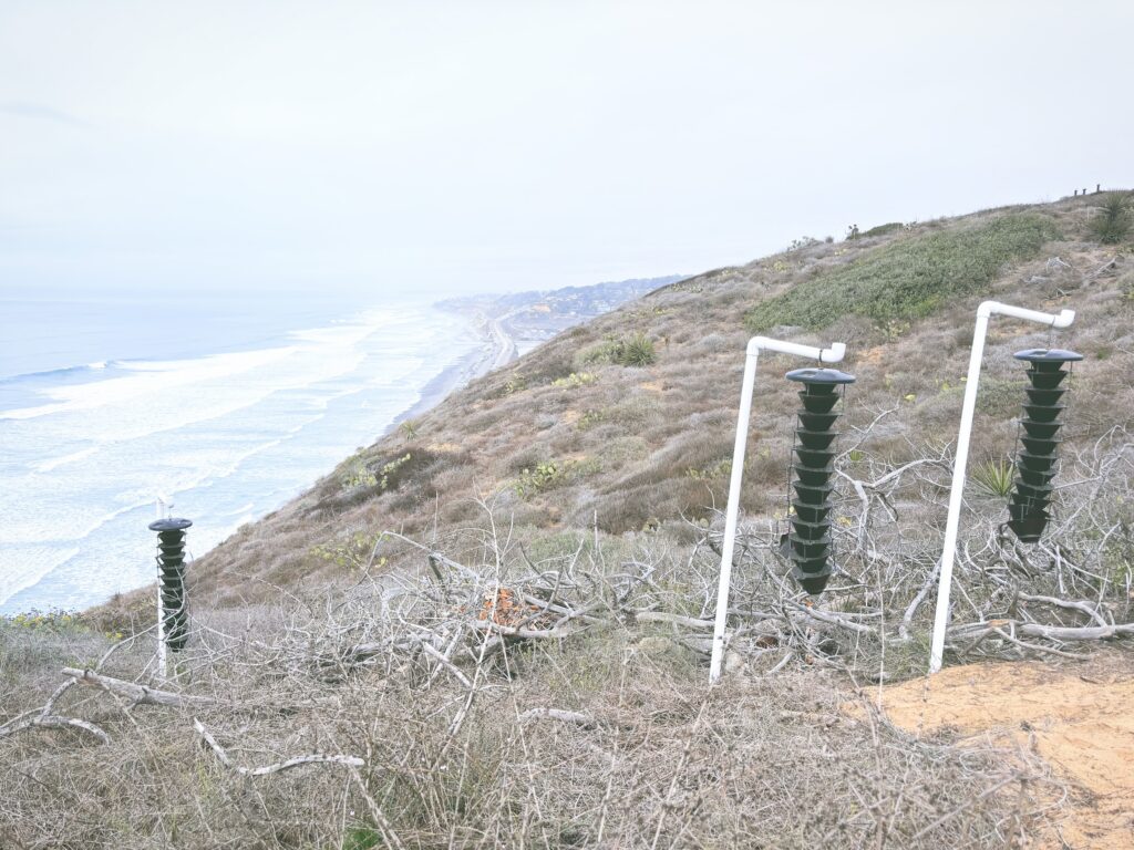 アメリカカリフォルニア州トーリーパインズ州立自然保護区Torrey Pines State Natural Reserve見どころ魅力トレイル・ハイキングモデルコース日本人観光