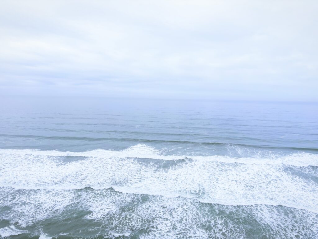 アメリカカリフォルニア州トーリーパインズ州立自然保護区Torrey Pines State Natural Reserve見どころ魅力トレイル・ハイキングモデルコース日本人観光