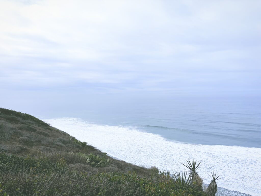 アメリカカリフォルニア州トーリーパインズ州立自然保護区Torrey Pines State Natural Reserve見どころ魅力トレイル・ハイキングモデルコース日本人観光