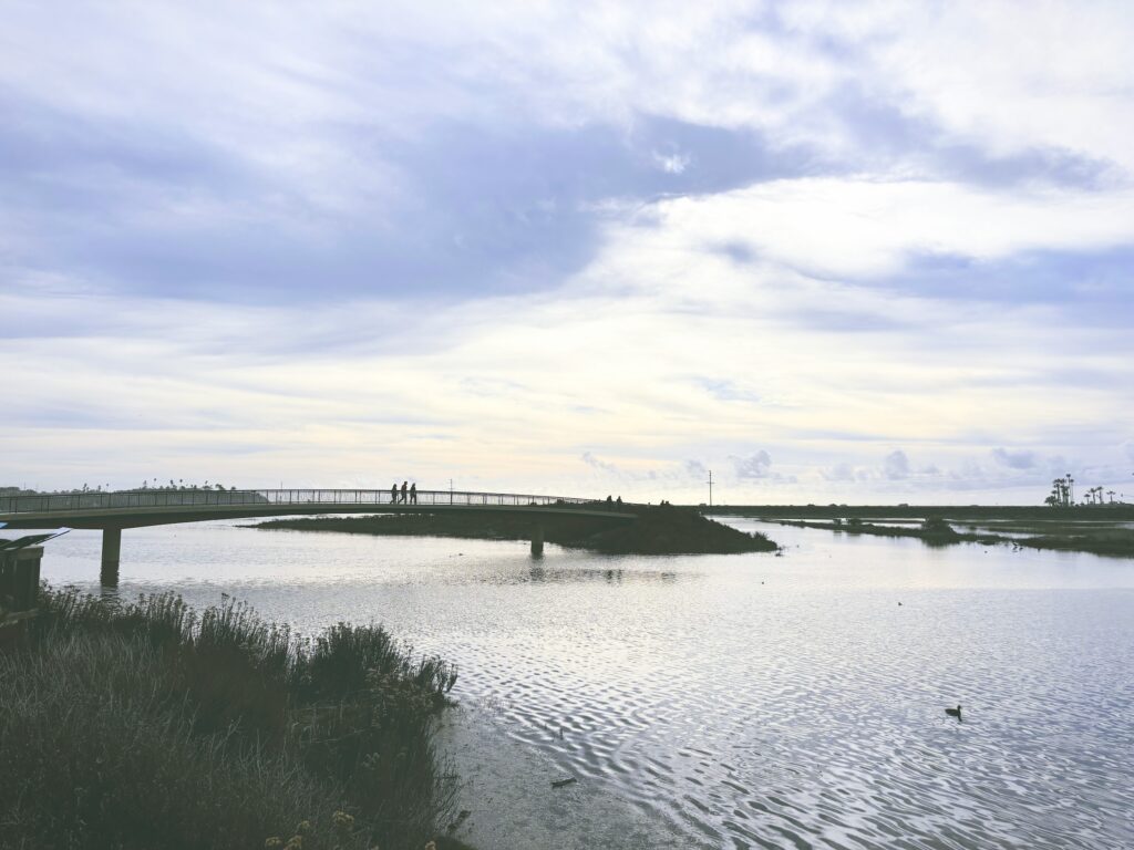 アメリカカリフォルニア州サンエリホラグーン生態保護区San Elijo Lagoon and Ecological Reserve見どころ魅力トレイル・ハイキングモデルコース日本人観光