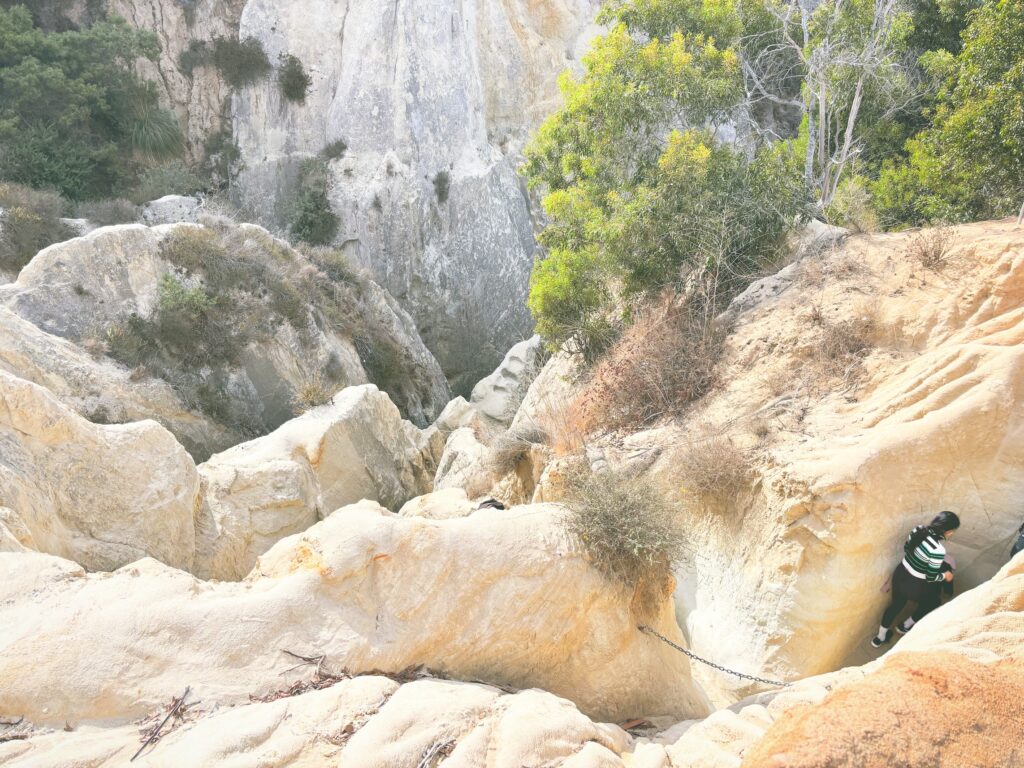 アメリカカリフォルニア州サンエリホラグーン生態保護区San Elijo Lagoon and Ecological Reserve見どころ魅力トレイル・ハイキングモデルコース日本人観光