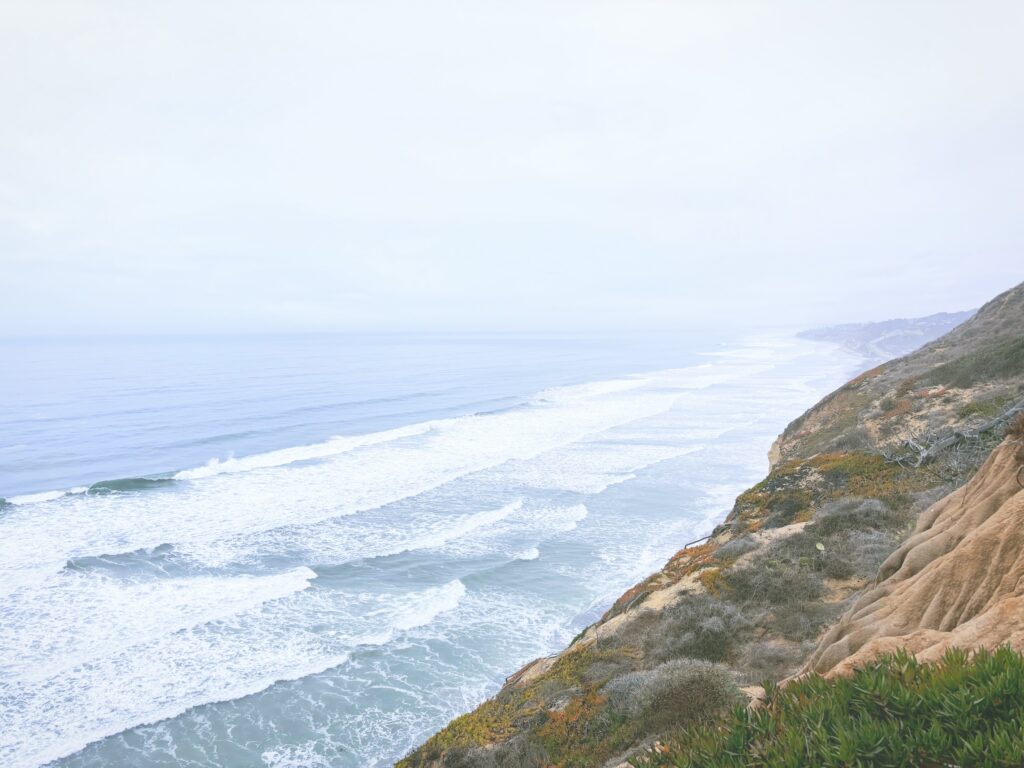 アメリカカリフォルニア州トーリーパインズ州立自然保護区Torrey Pines State Natural Reserve見どころ魅力トレイル・ハイキングモデルコース日本人観光