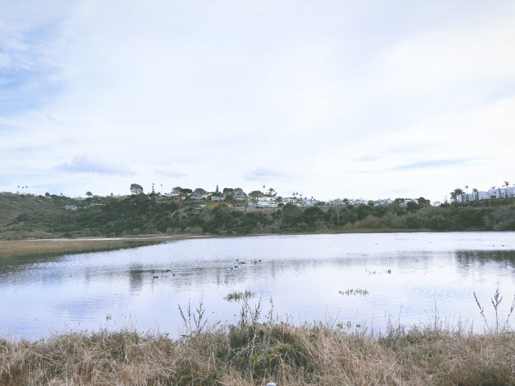 アメリカカリフォルニア州サンエリホラグーン生態保護区San Elijo Lagoon and Ecological Reserve見どころ魅力トレイル・ハイキングモデルコース日本人観光