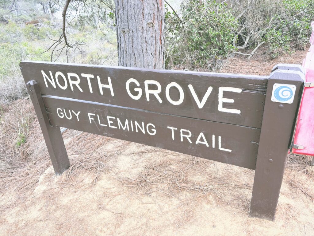 アメリカカリフォルニア州トーリーパインズ州立自然保護区Torrey Pines State Natural Reserve見どころ魅力トレイル・ハイキングモデルコース日本人観光