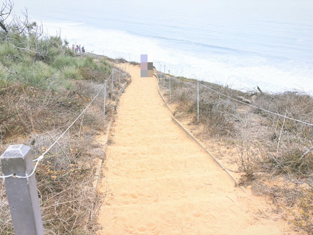 アメリカカリフォルニア州トーリーパインズ州立自然保護区Torrey Pines State Natural Reserve見どころ魅力トレイル・ハイキングモデルコース日本人観光