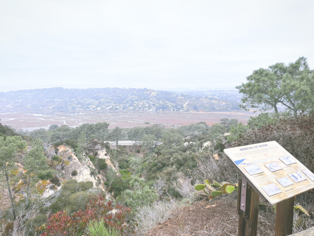 アメリカカリフォルニア州トーリーパインズ州立自然保護区Torrey Pines State Natural Reserve見どころ魅力トレイル・ハイキングモデルコース日本人観光