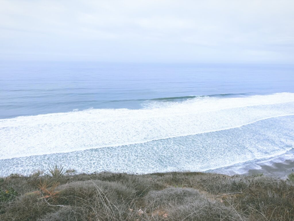 アメリカカリフォルニア州トーリーパインズ州立自然保護区Torrey Pines State Natural Reserve見どころ魅力トレイル・ハイキングモデルコース日本人観光