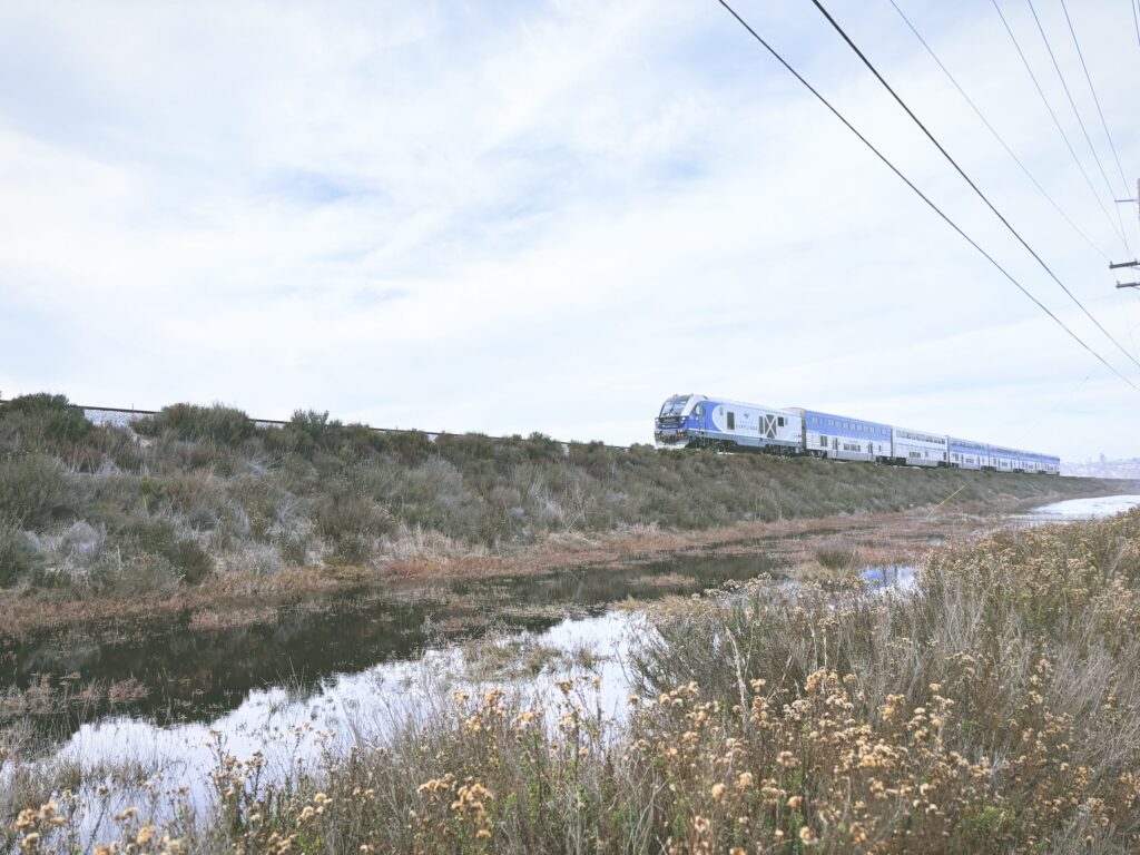 アメリカカリフォルニア州サンエリホラグーン生態保護区San Elijo Lagoon and Ecological Reserve見どころ魅力トレイル・ハイキングモデルコース日本人観光