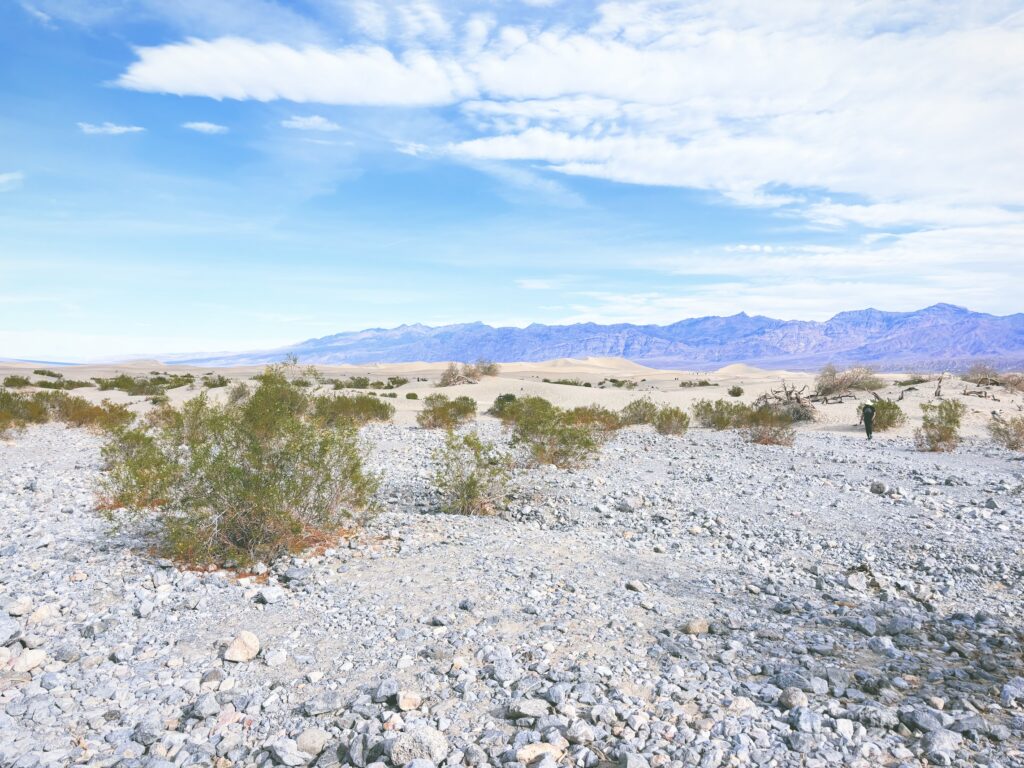 アメリカカリフォルニア州ネバダ州デスバレー国立公園Death Valley National Park見どころ魅力トレイル・ハイキングモデルコース日本人観光