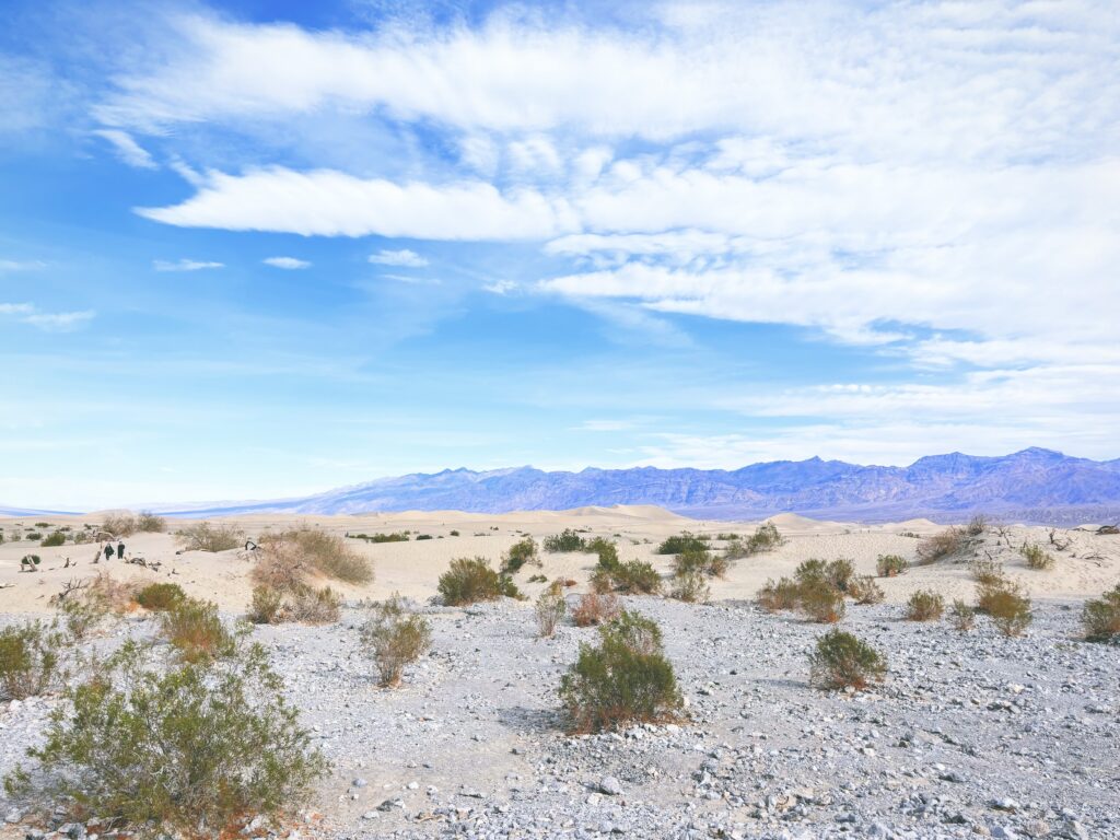 アメリカカリフォルニア州ネバダ州デスバレー国立公園Death Valley National Park見どころ魅力トレイル・ハイキングモデルコース日本人観光