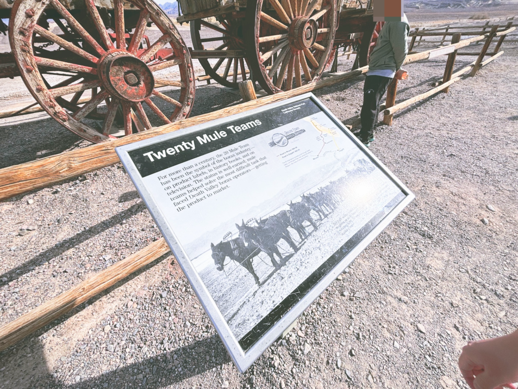 アメリカカリフォルニア州ネバダ州デスバレー国立公園Death Valley National Park見どころ魅力トレイル・ハイキングモデルコース日本人観光