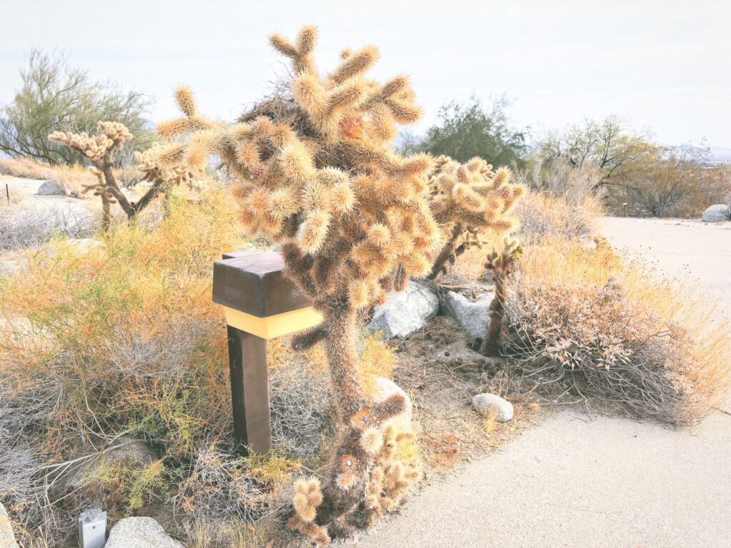 アメリカカリフォルニア州アンザボレゴ砂漠州立公園Anza-Borrego Desert State Park見どころ魅力トレイル・ハイキングモデルコース日本人観光