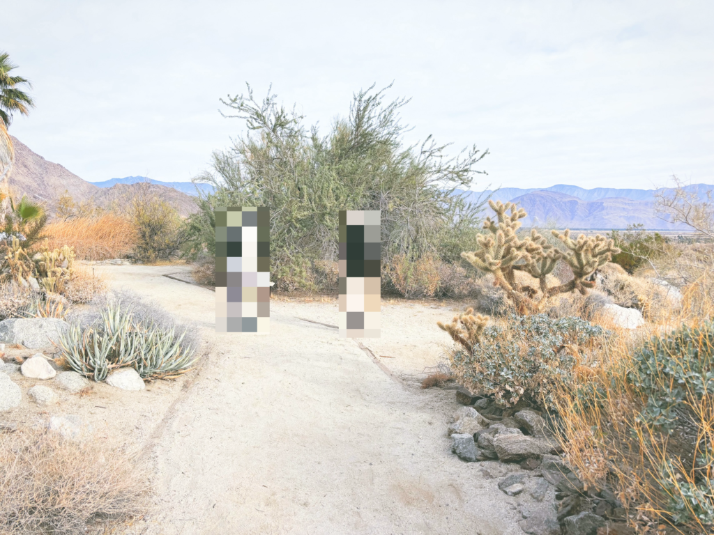 アメリカカリフォルニア州アンザボレゴ砂漠州立公園Anza-Borrego Desert State Park見どころ魅力トレイル・ハイキングモデルコース日本人観光