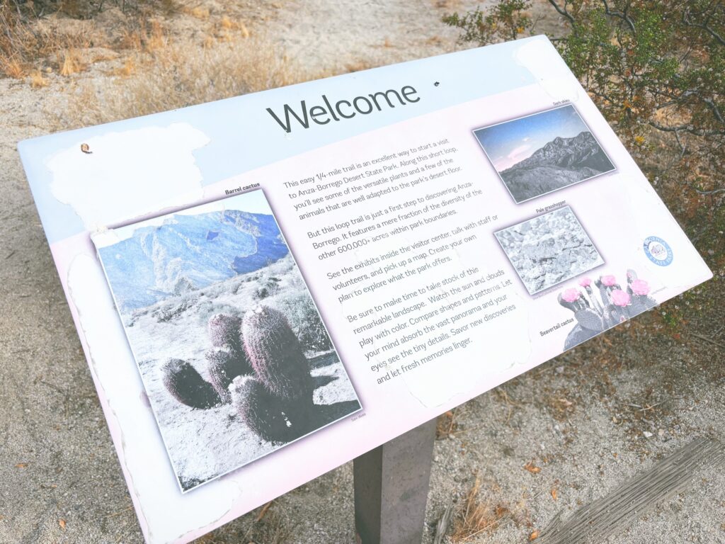 アメリカカリフォルニア州アンザボレゴ砂漠州立公園Anza-Borrego Desert State Park見どころ魅力トレイル・ハイキングモデルコース日本人観光