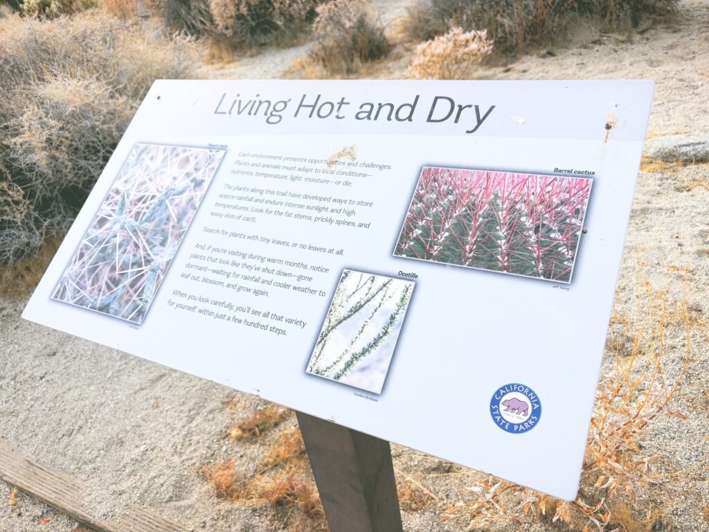 アメリカカリフォルニア州アンザボレゴ砂漠州立公園Anza-Borrego Desert State Park見どころ魅力トレイル・ハイキングモデルコース日本人観光