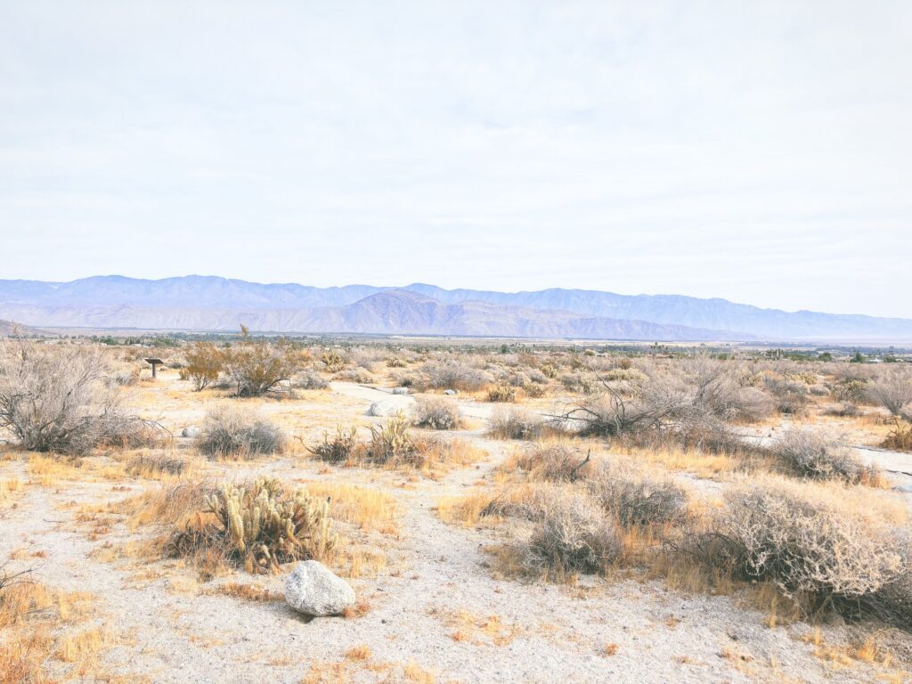 アメリカカリフォルニア州アンザボレゴ砂漠州立公園Anza-Borrego Desert State Park見どころ魅力トレイル・ハイキングモデルコース日本人観光