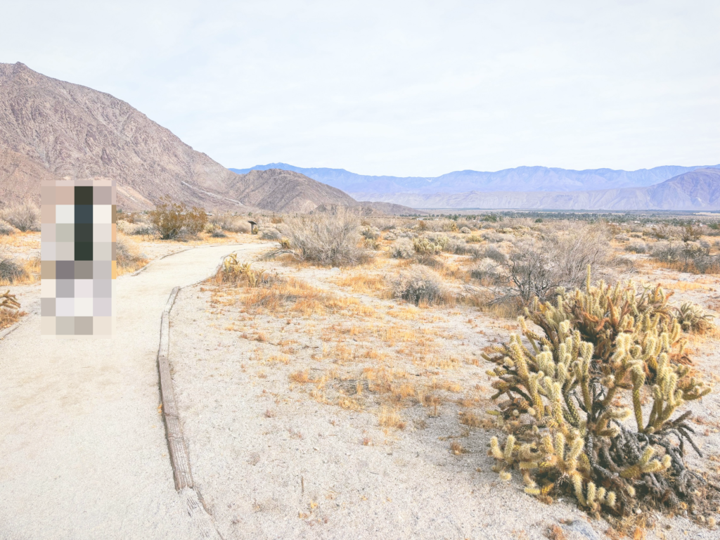 アメリカカリフォルニア州アンザボレゴ砂漠州立公園Anza-Borrego Desert State Park見どころ魅力トレイル・ハイキングモデルコース日本人観光