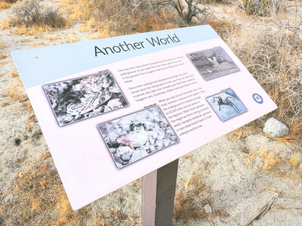 アメリカカリフォルニア州アンザボレゴ砂漠州立公園Anza-Borrego Desert State Park見どころ魅力トレイル・ハイキングモデルコース日本人観光