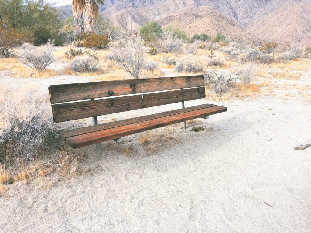 アメリカカリフォルニア州アンザボレゴ砂漠州立公園Anza-Borrego Desert State Park見どころ魅力トレイル・ハイキングモデルコース日本人観光