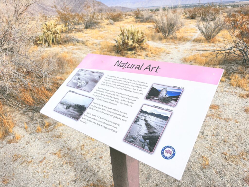 アメリカカリフォルニア州アンザボレゴ砂漠州立公園Anza-Borrego Desert State Park見どころ魅力トレイル・ハイキングモデルコース日本人観光