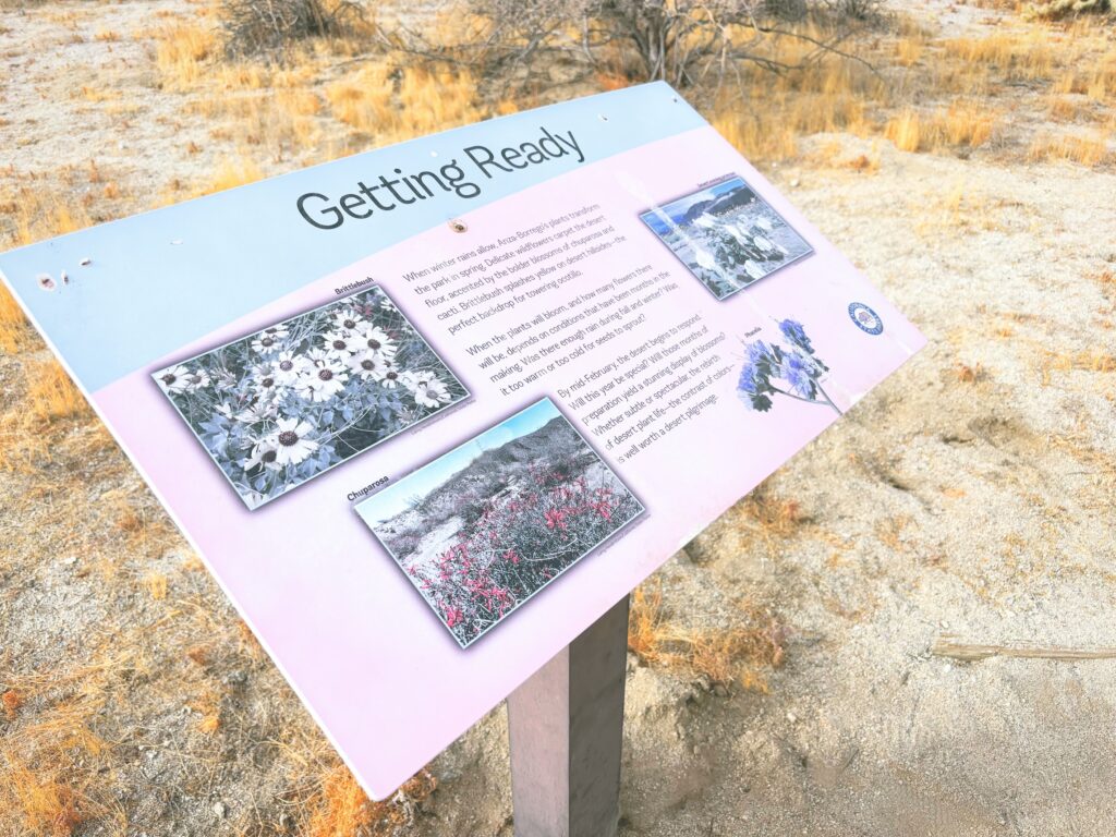 アメリカカリフォルニア州アンザボレゴ砂漠州立公園Anza-Borrego Desert State Park見どころ魅力トレイル・ハイキングモデルコース日本人観光