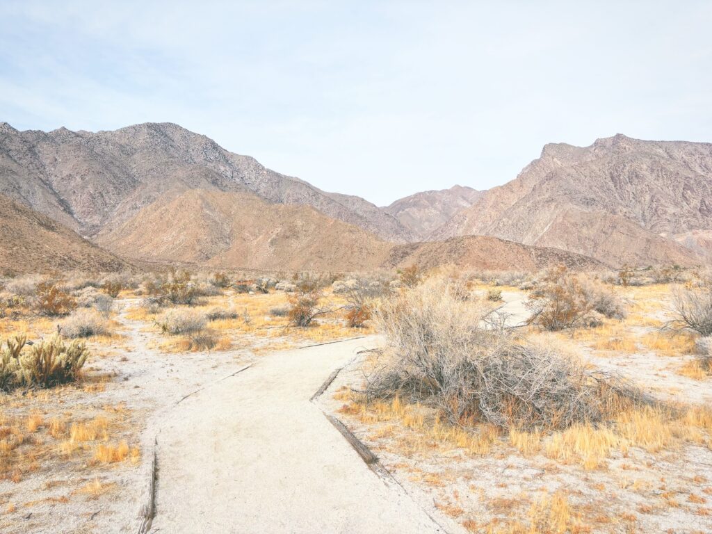 アメリカカリフォルニア州アンザボレゴ砂漠州立公園Anza-Borrego Desert State Park見どころ魅力トレイル・ハイキングモデルコース日本人観光