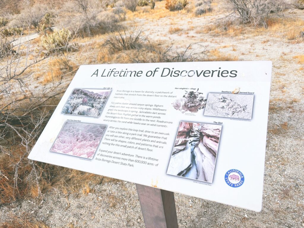 アメリカカリフォルニア州アンザボレゴ砂漠州立公園Anza-Borrego Desert State Park見どころ魅力トレイル・ハイキングモデルコース日本人観光