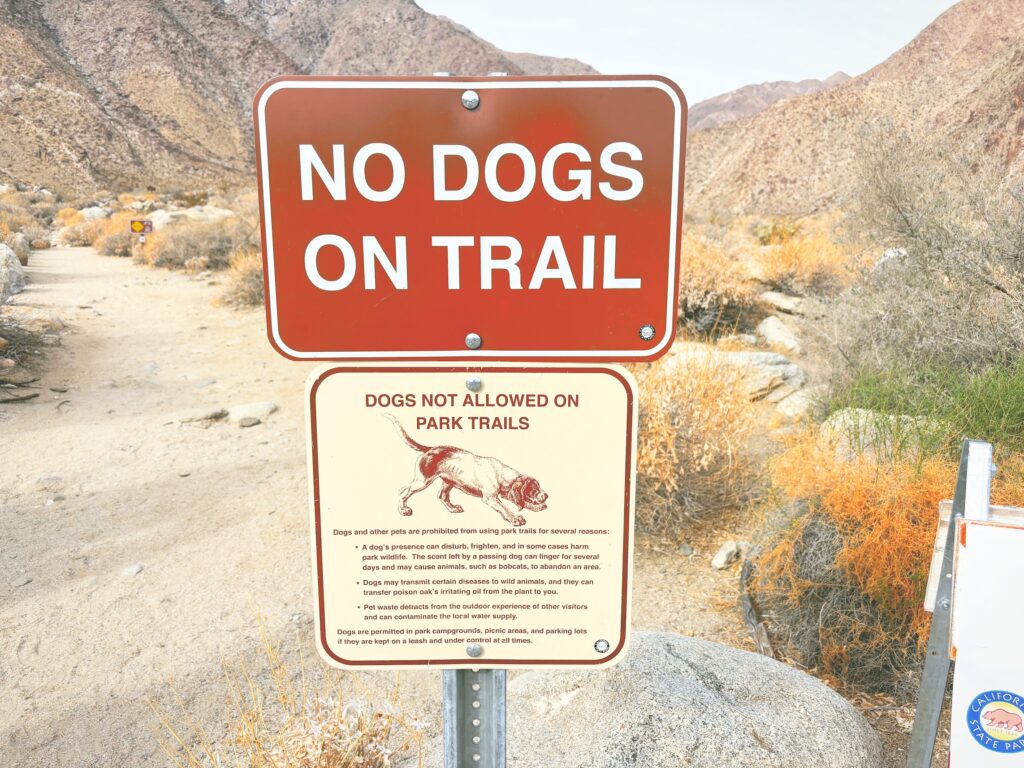 アメリカカリフォルニア州アンザボレゴ砂漠州立公園Anza-Borrego Desert State Park見どころ魅力トレイル・ハイキングモデルコース日本人観光