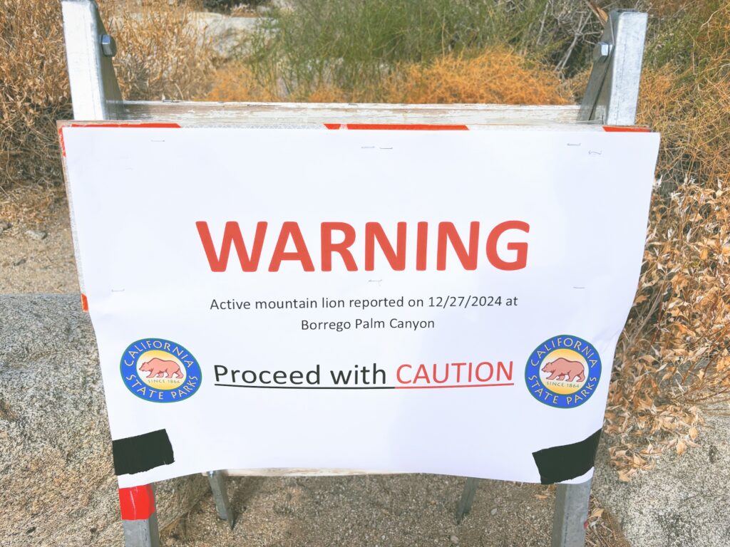 アメリカカリフォルニア州アンザボレゴ砂漠州立公園Anza-Borrego Desert State Park見どころ魅力トレイル・ハイキングモデルコース日本人観光