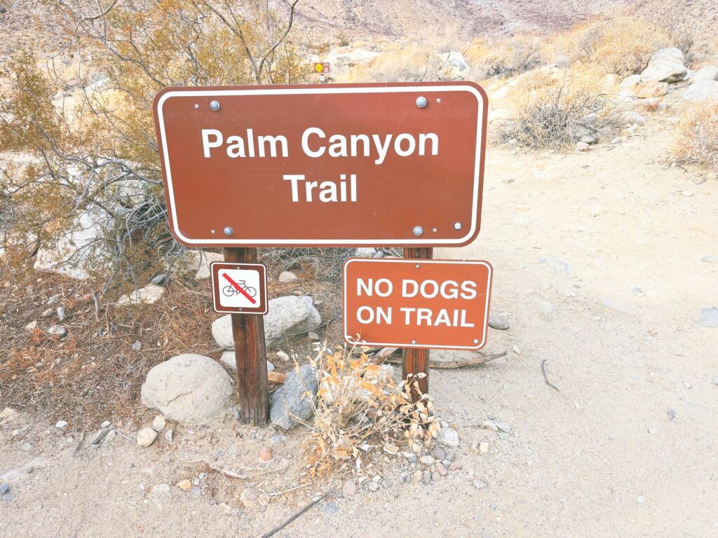 アメリカカリフォルニア州アンザボレゴ砂漠州立公園Anza-Borrego Desert State Park見どころ魅力トレイル・ハイキングモデルコース日本人観光