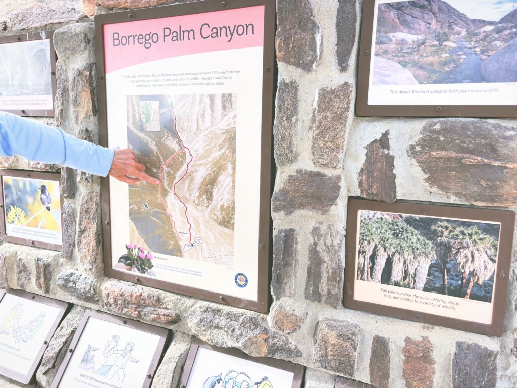 アメリカカリフォルニア州アンザボレゴ砂漠州立公園Anza-Borrego Desert State Park見どころ魅力トレイル・ハイキングモデルコース日本人観光