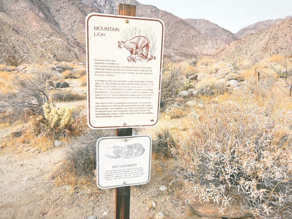 アメリカカリフォルニア州アンザボレゴ砂漠州立公園Anza-Borrego Desert State Park見どころ魅力トレイル・ハイキングモデルコース日本人観光