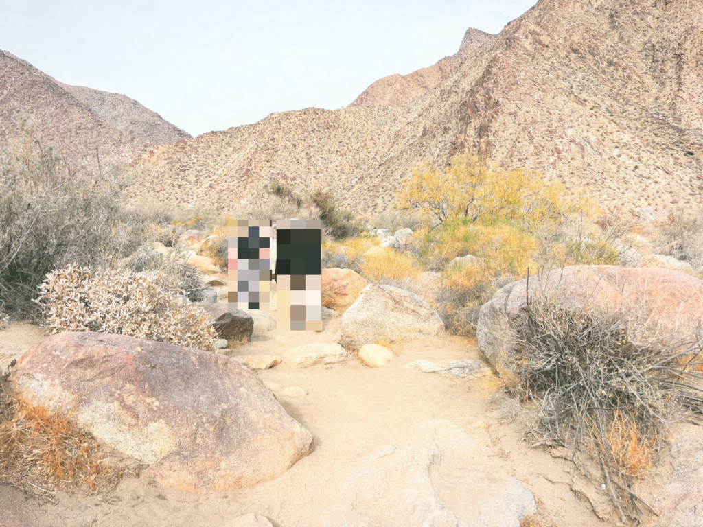 アメリカカリフォルニア州アンザボレゴ砂漠州立公園Anza-Borrego Desert State Park見どころ魅力トレイル・ハイキングモデルコース日本人観光