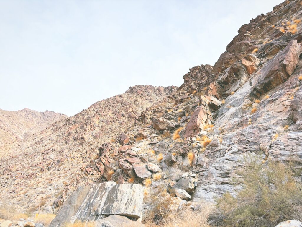 アメリカカリフォルニア州アンザボレゴ砂漠州立公園Anza-Borrego Desert State Park見どころ魅力トレイル・ハイキングモデルコース日本人観光