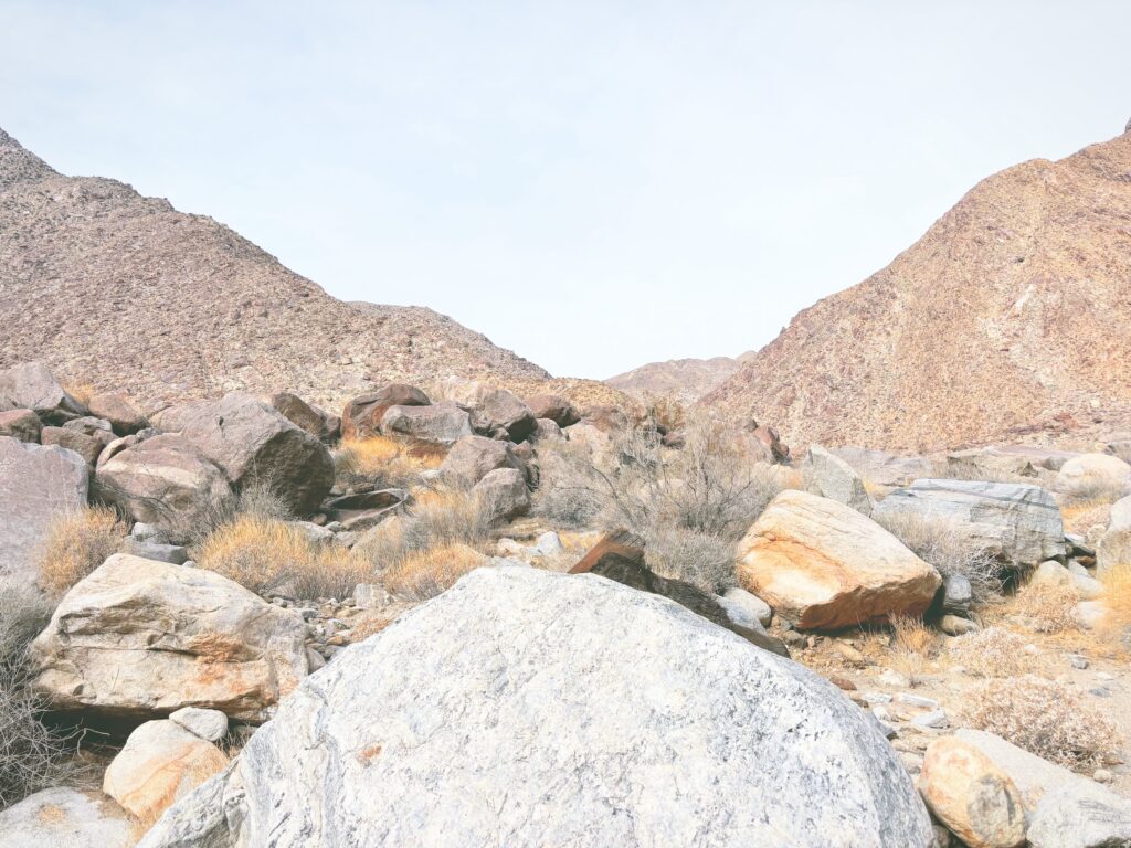 アメリカカリフォルニア州アンザボレゴ砂漠州立公園Anza-Borrego Desert State Park見どころ魅力トレイル・ハイキングモデルコース日本人観光