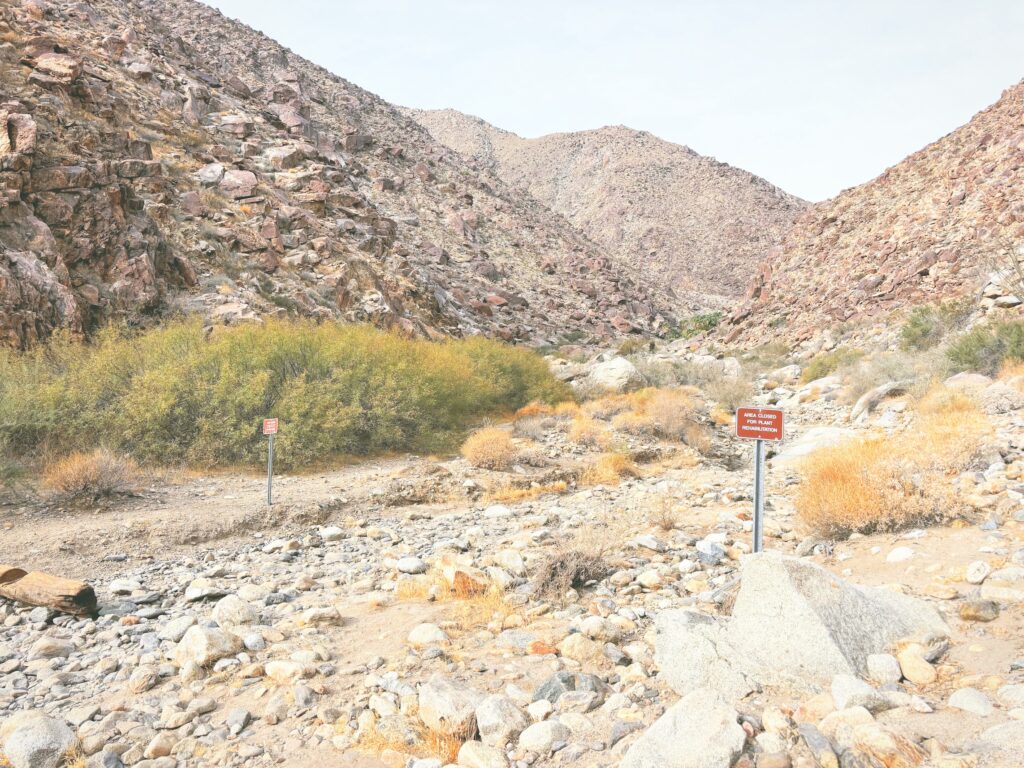 アメリカカリフォルニア州アンザボレゴ砂漠州立公園Anza-Borrego Desert State Park見どころ魅力トレイル・ハイキングモデルコース日本人観光