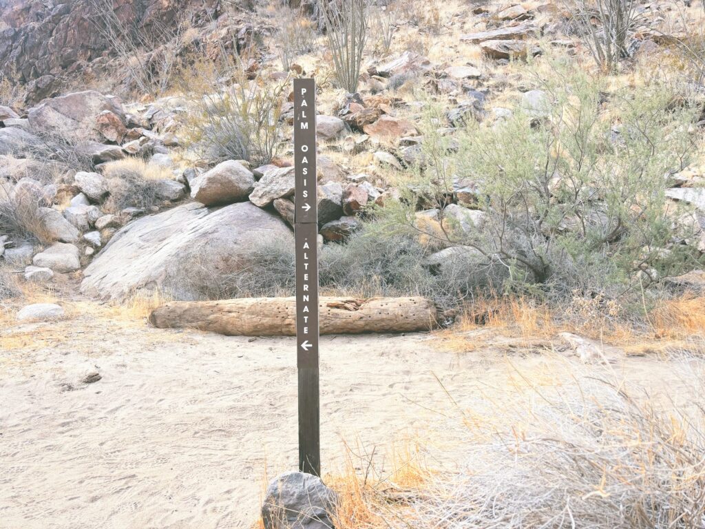 アメリカカリフォルニア州アンザボレゴ砂漠州立公園Anza-Borrego Desert State Park見どころ魅力トレイル・ハイキングモデルコース日本人観光