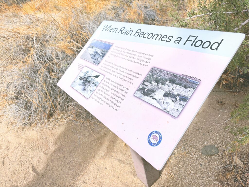 アメリカカリフォルニア州アンザボレゴ砂漠州立公園Anza-Borrego Desert State Park見どころ魅力トレイル・ハイキングモデルコース日本人観光