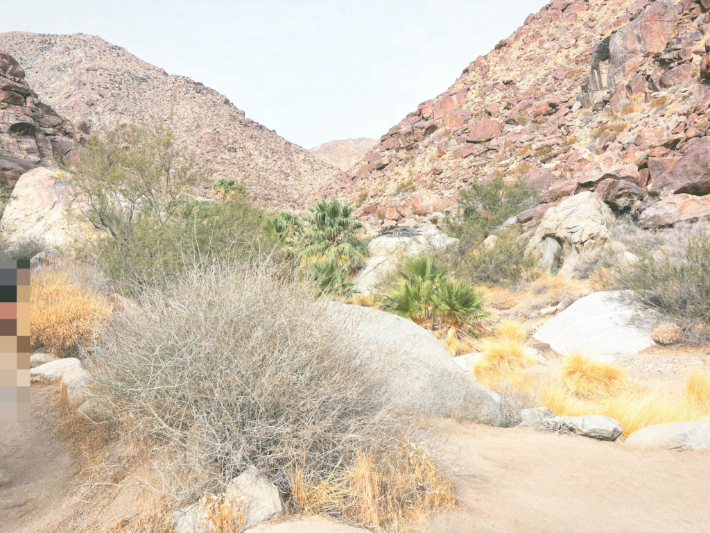 アメリカカリフォルニア州アンザボレゴ砂漠州立公園Anza-Borrego Desert State Park見どころ魅力トレイル・ハイキングモデルコース日本人観光