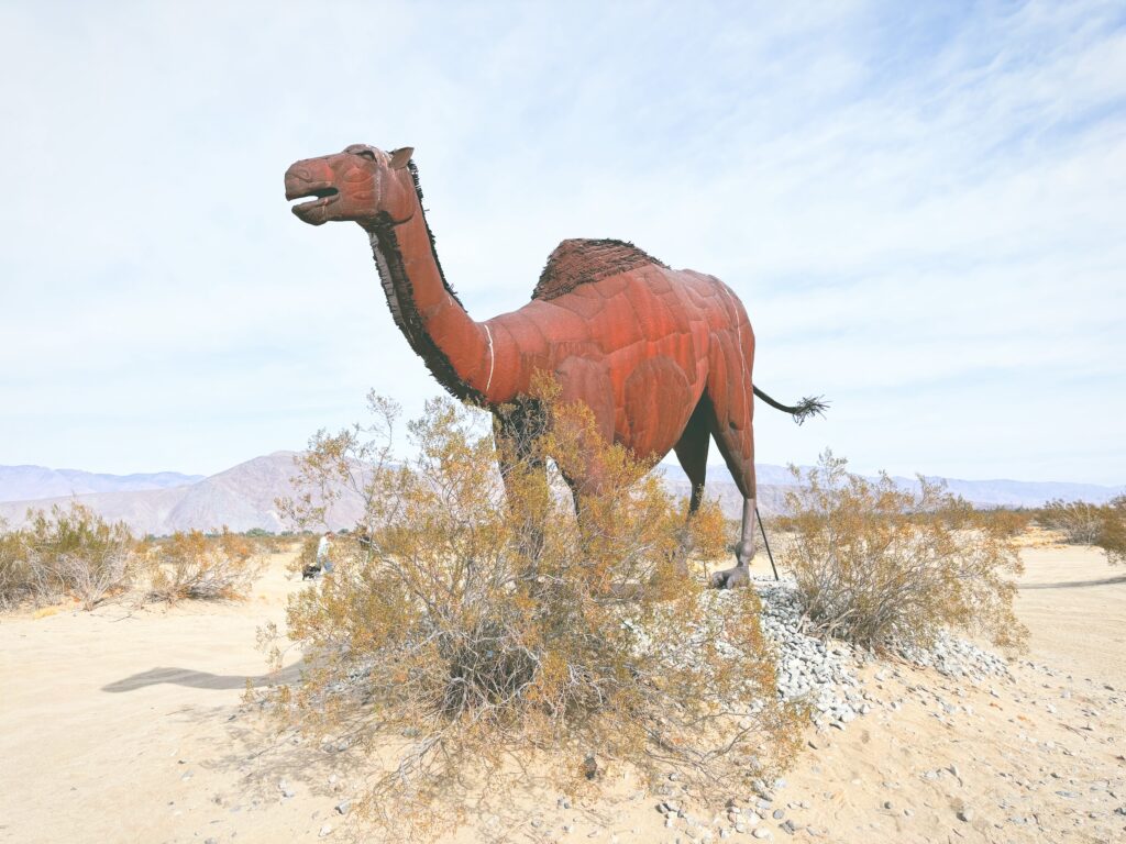 アメリカカリフォルニア州アンザボレゴ砂漠州立公園Anza-Borrego Desert State Park見どころ魅力トレイル・ハイキングモデルコース日本人観光