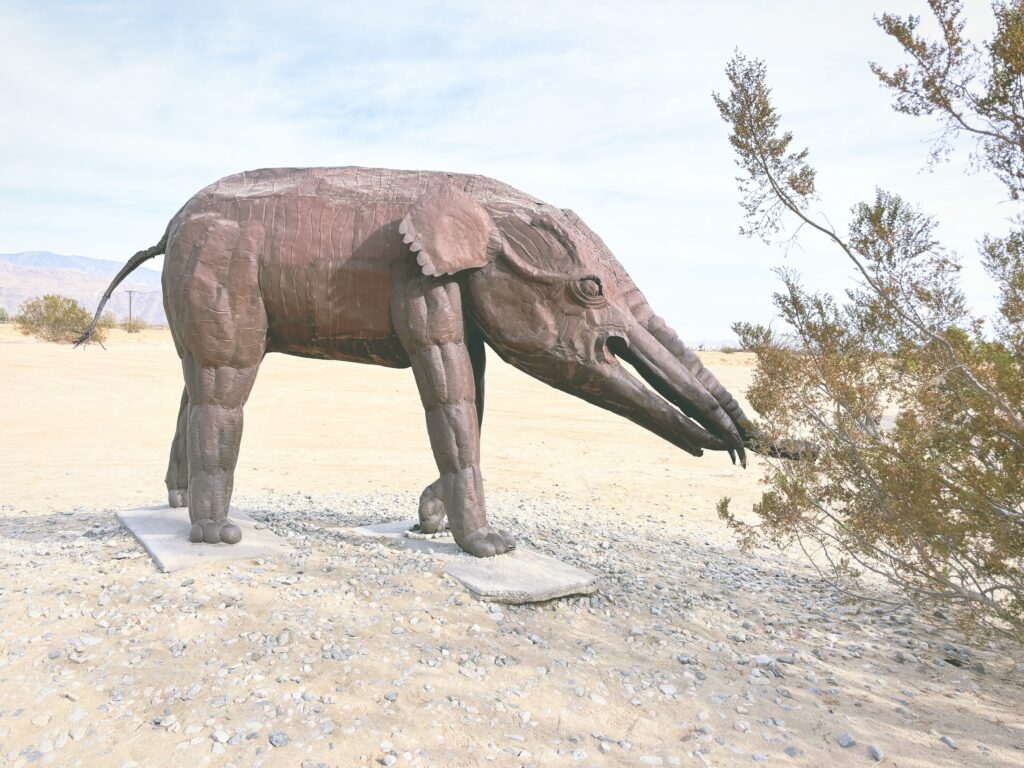 アメリカカリフォルニア州アンザボレゴ砂漠州立公園Anza-Borrego Desert State Park見どころ魅力トレイル・ハイキングモデルコース日本人観光