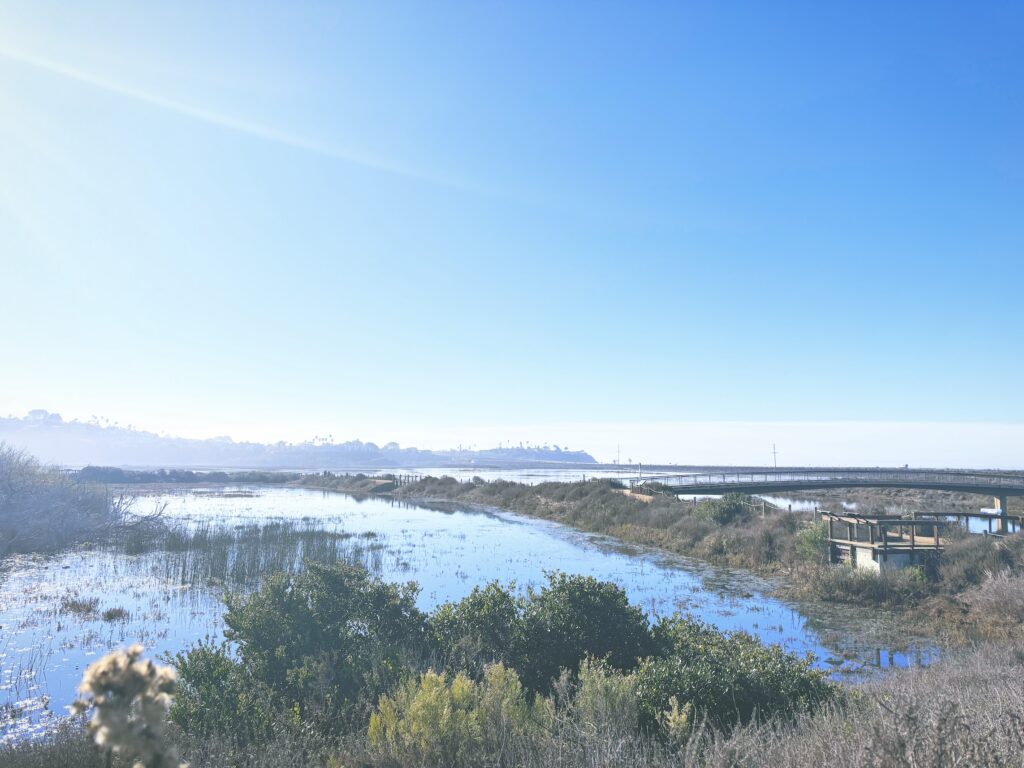 アメリカカリフォルニア州サンエリホラグーン生態保護区San Elijo Lagoon and Ecological Reserve見どころ魅力トレイル・ハイキングモデルコース日本人観光