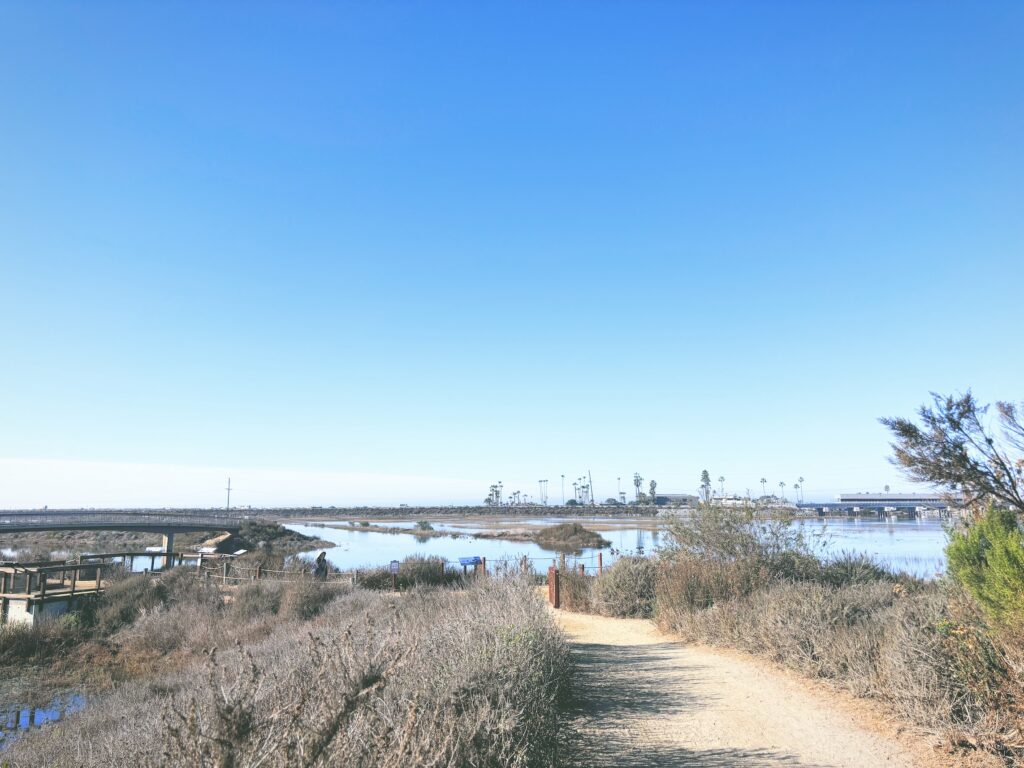 アメリカカリフォルニア州サンエリホラグーン生態保護区San Elijo Lagoon and Ecological Reserve見どころ魅力トレイル・ハイキングモデルコース日本人観光