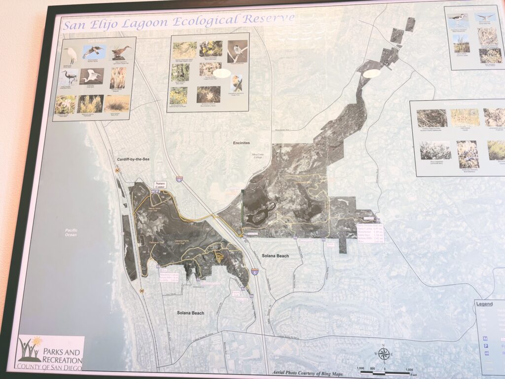 アメリカカリフォルニア州サンエリホラグーン生態保護区San Elijo Lagoon and Ecological Reserve見どころ魅力トレイル・ハイキングモデルコース日本人観光