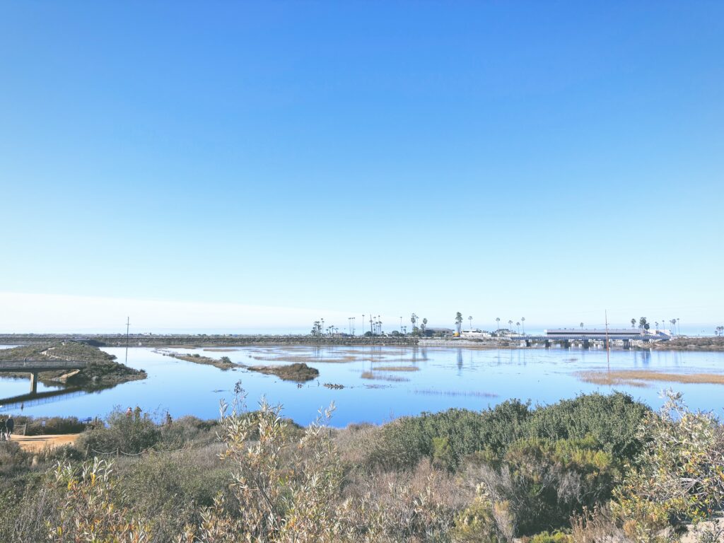 アメリカカリフォルニア州サンエリホラグーン生態保護区San Elijo Lagoon and Ecological Reserve見どころ魅力トレイル・ハイキングモデルコース日本人観光