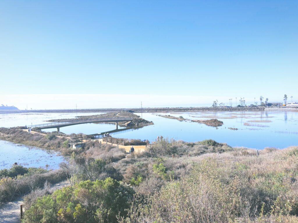 アメリカカリフォルニア州サンエリホラグーン生態保護区San Elijo Lagoon and Ecological Reserve見どころ魅力トレイル・ハイキングモデルコース日本人観光