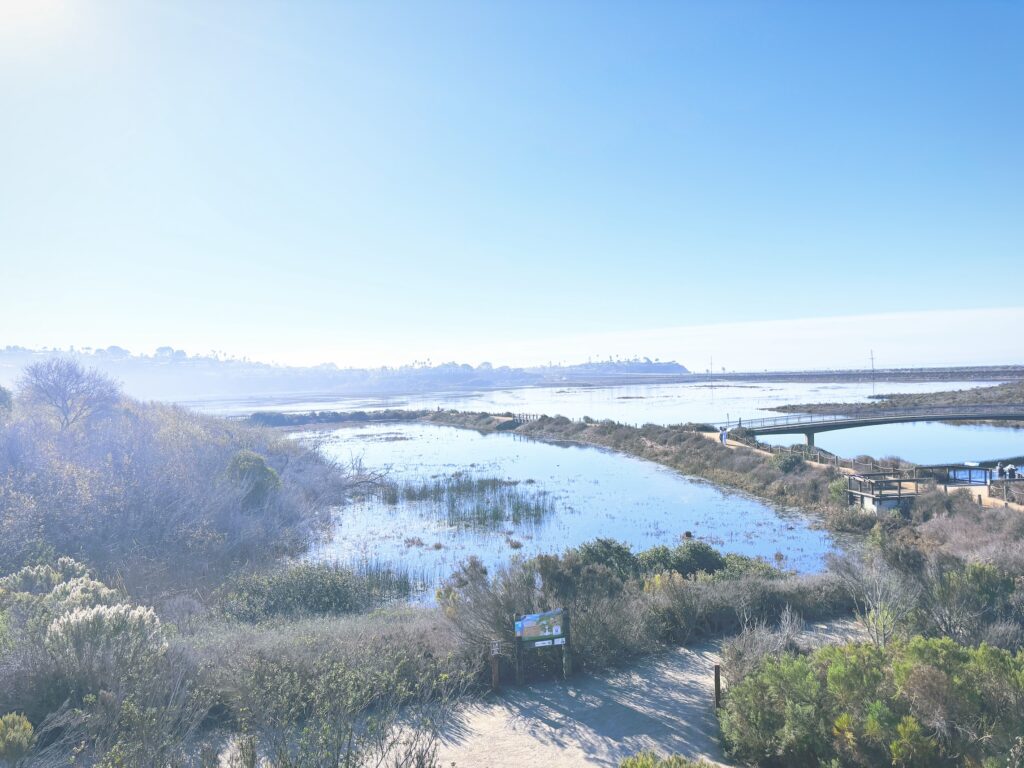 アメリカカリフォルニア州サンエリホラグーン生態保護区San Elijo Lagoon and Ecological Reserve見どころ魅力トレイル・ハイキングモデルコース日本人観光