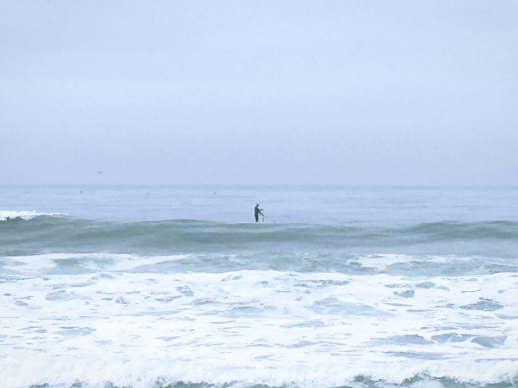 アメリカカリフォルニア州トーリーパインズ州立自然保護区Torrey Pines State Natural Reserve見どころ魅力トレイル・ハイキングモデルコース日本人観光