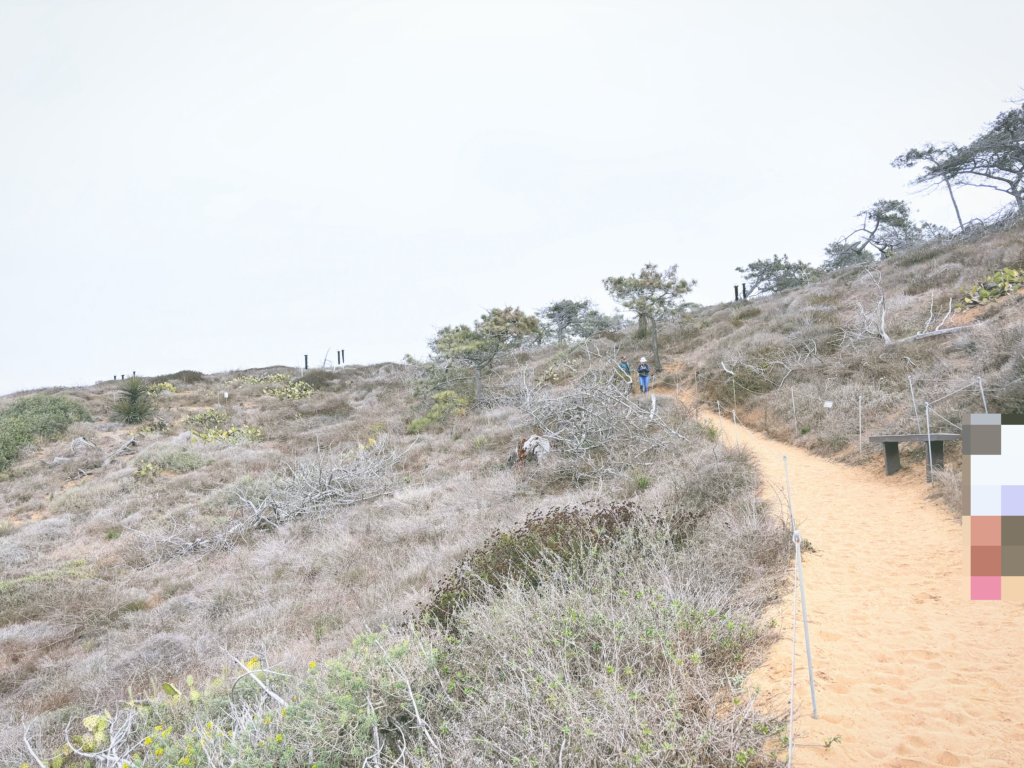 アメリカカリフォルニア州トーリーパインズ州立自然保護区Torrey Pines State Natural Reserve見どころ魅力トレイル・ハイキングモデルコース日本人観光