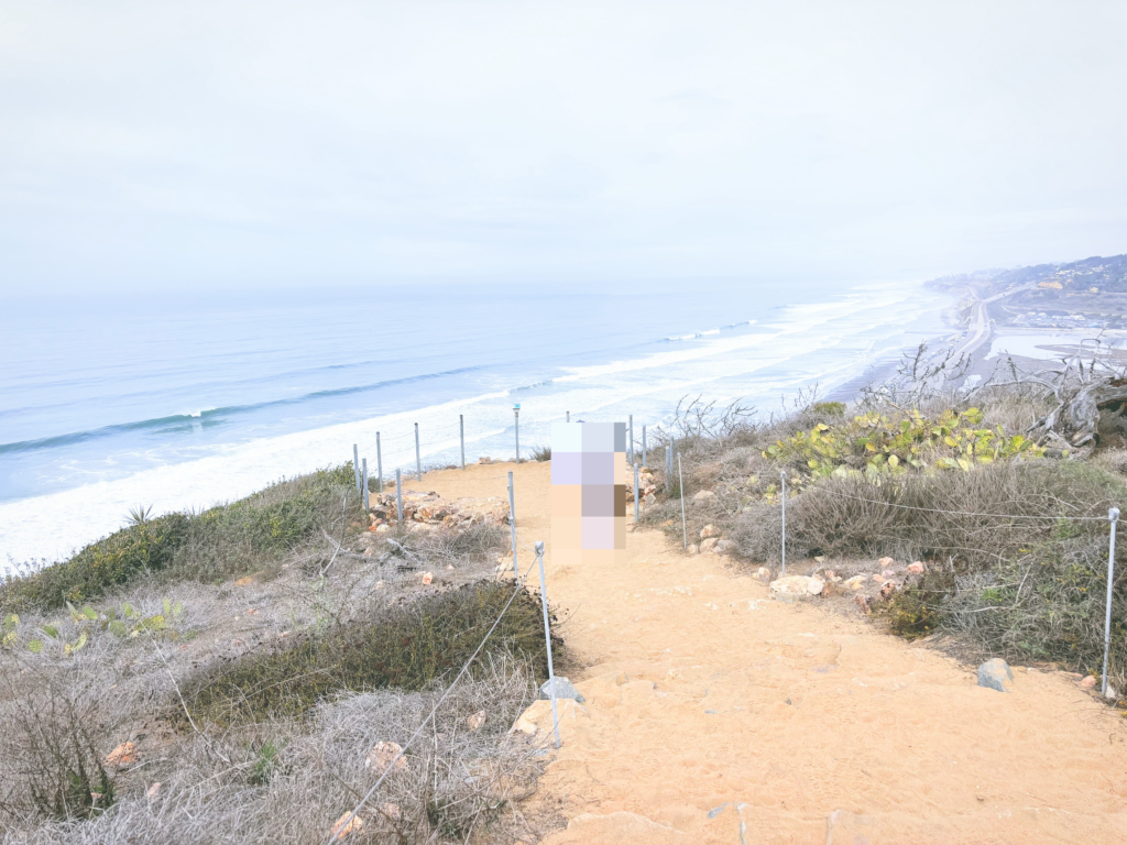 アメリカカリフォルニア州トーリーパインズ州立自然保護区Torrey Pines State Natural Reserve見どころ魅力トレイル・ハイキングモデルコース日本人観光